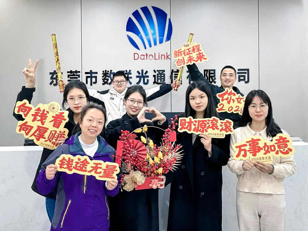 Datolink team activity