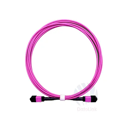 MPO-MPO OM4 Patch Cord