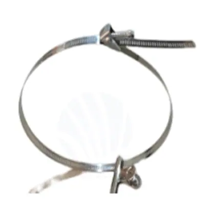 Hoop Ring