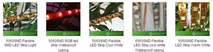 LED Strip Light specification