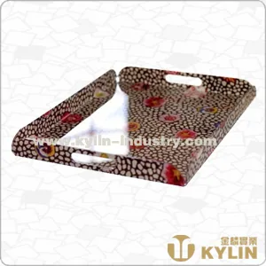 Acrylic Tray JL-TRAY009