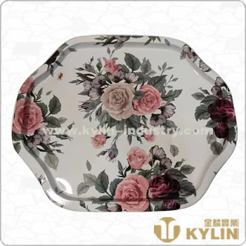 Heteromorphic Tray JL-TRAY002-D2