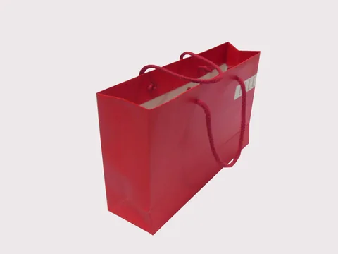 Teng Fei Packaging Manufactory — Paper Bag 145 T