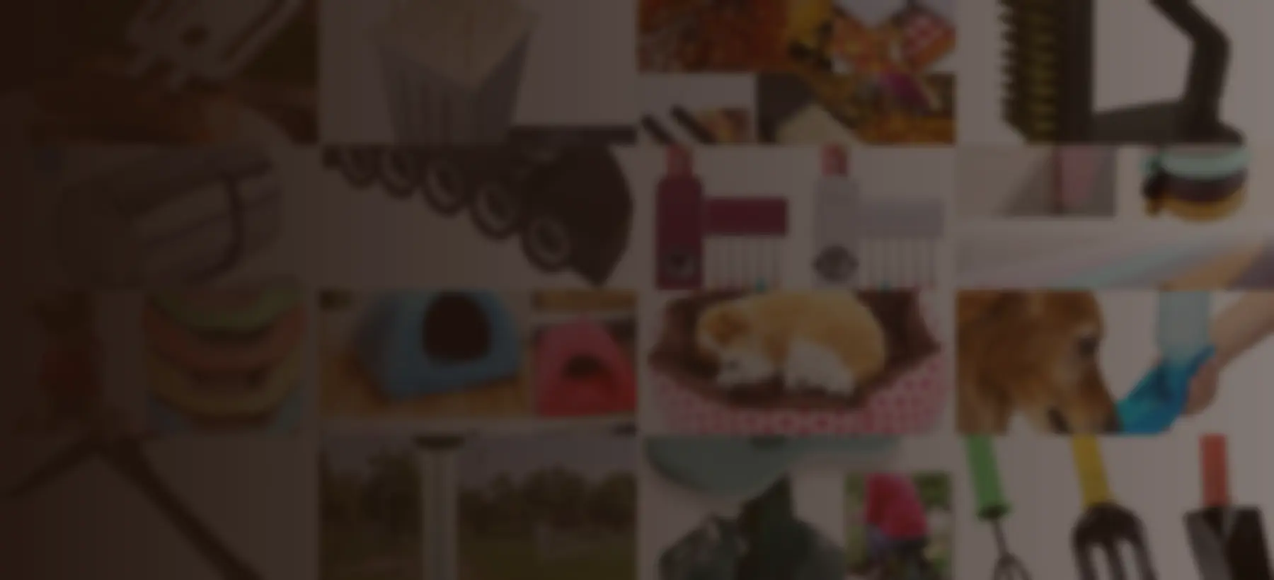 Ningbo Winifer International Trade Co., Ltd — Banner Hero
