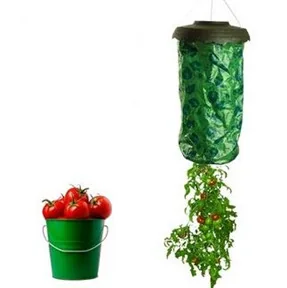 Tomato Planter WK20013